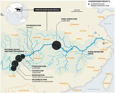 Managing the Three Gorges Dam to Implement Environmental Flows in the Yangtze River